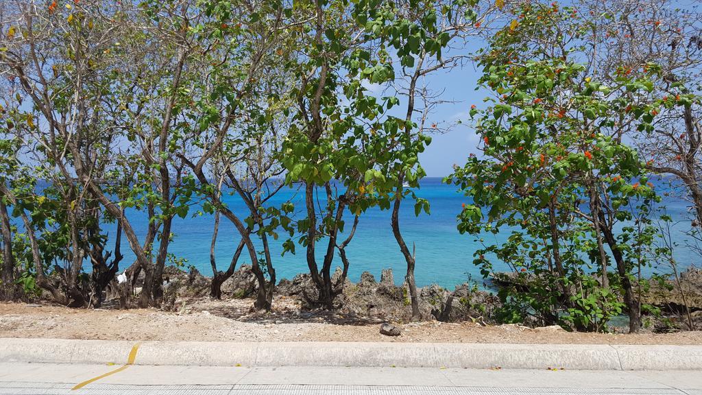 ホテル Coral House San Andres エクステリア 写真